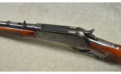 Winchester ~ Model 71 ~ .348 WCF - Image 9 of 9