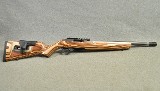 Ruger ~ 10/22 Competition ~ .22 LR