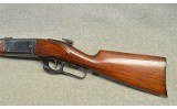 Savage ~ 1899 ~ .303 Savage - Image 7 of 7