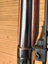 Winchester Model 64 in very rare 219 Zipper - 15 of 20