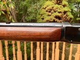 Winchester Model 64 in very rare 219 Zipper - 8 of 20