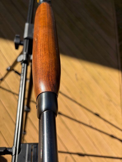 Rare Winchester mdl 64 caliber 219 Zipper 99% - Image 10 of 11