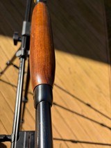 Rare Winchester mdl 64 caliber 219 Zipper 99% - Image 10 of 11