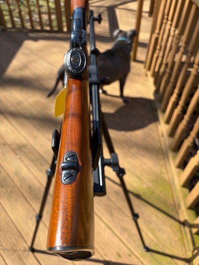 Winchester mdl 71 DLX - Image 13 of 14