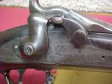 #1442 Springfield 1884 Trapdoor rifle, 404XXX serial range (1889),- 3 of 15