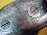 #4833 Colt 1883 Double Barrel Hammerless Shotgun, factory engraved. - 14 of 17