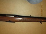 Winchester Model 88 Post  64 in .243 Winchester - 9 of 12