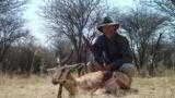 9 Day 6 animal Safari including Hartmann's Mountain Zebra!! All Inclusive Guaranteed!! - 5 of 12