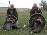 Nebraska Trophy Merriams Turkey Hunt!! High Success!!