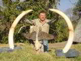 10 Day Trophy Elephant Safari in Zimbabwe!! 100% Shooting/Fully Exportable. 35-45 # average!! - 3 of 12