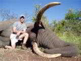 10 Day Trophy Elephant Safari in Zimbabwe!! 100% Shooting/Fully Exportable. 35-45 # average!! - 1 of 12