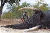 10 Day Trophy Elephant Safari in Zimbabwe!! 100% Shooting/Fully Exportable. 35-45 # average!! - 6 of 12