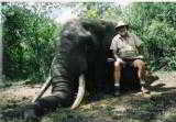10 Day Trophy Elephant Safari in Zimbabwe!! 100% Shooting/Fully Exportable. 35-45 # average!! - 5 of 12