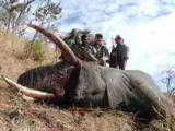 10 Day Trophy Elephant Safari in Zimbabwe!! 100% Shooting/Fully Exportable. 35-45 # average!! - 4 of 12