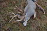 Nebraska Trophy Mule Deer OR Whitetail Hunt (Hunters Choice!!) 100% shooting over the last 5 seasons!!! - 8 of 12