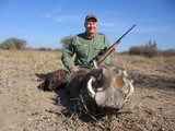 Namibia's Finest Plains Game Safari 7 days all inclusive!!! - 12 of 15