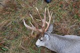 Nebraska Mule Deer or Whitetail (hunters choice) 4 day hunt with included tags & quality lodging!100% shot opportunity! ALL PRIVATE MANAGED PR - 3 of 9