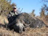 10 Day hunt for monster Cape Buffalo!! FAIR CHASE!! 100% SHOOTING!! - 7 of 13