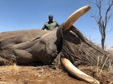 Zimbabwe 10 Day Exportable Elephant Safari all inclusive price! - 3 of 7