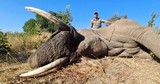 Zimbabwe 10 Day Exportable Elephant Safari all inclusive price!