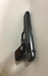 Colt - 2 of 4