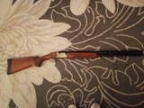 Beretta Gold E Skeet - 3 of 7