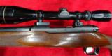 Winchester Model 70 Pre 64 - 13 of 14