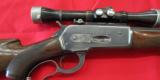 Winchester Model 71 Deluxe - 8 of 14