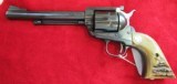 Ruger Blackhawk (with Ruger Stag Grips) - 1 of 12