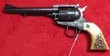 Ruger Blackhawk (Flat Top) - 1 of 13