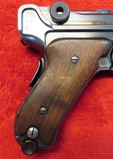 DWM Luger Commercial Model - 9 of 15