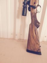 Dakota 76 Safari Grade- 6 of 10