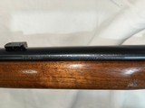 Winchester - 7 of 14