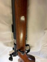 Winchester - 3 of 14