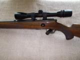 Winchester Model 75 Sporter - 6 of 7