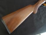 CZ Ringneck Sideplate 12 ga. 3" Magnum turkey/waterfowl shotgun - 8 of 9