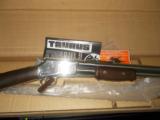 Tarus C-45 Pump 45 LC polished nickle (Colt Lightning Replica) - 4 of 5