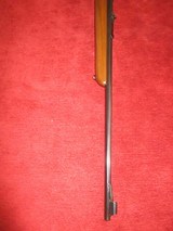 Winchester 43, 22Hornet 'Poor Man's Model '70 - 9 of 9