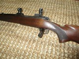 Winchester M-70 Standard wt. (Scarce) in 243, Pre-64 bolt rifle (1955) mfg. - 6 of 9