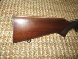 Winchester M-70 Standard wt. (Scarce) in 243, Pre-64 bolt rifle (1955) mfg. - 2 of 9