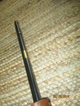 Marlin 783 Bolt action 22 magnum - 12 of 12