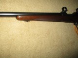 Winchester M-70 pre 64 (189xx-) 1961 243 Varmit rifle - 11 of 11