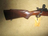 Winchester M-70 pre 64 (189xx-) 1961 243 Varmit rifle - 2 of 11