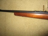 Marlin 717M2 .17 Mach 2 cal w / ammo (inexpensive) 10 shot semi-auto - 9 of 9