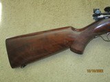 Winchester 75 Sporter 22 lr. Lyman 58 period correct adj. peep sight - 4 of 12