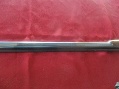 Winchester 21 Heavy Duck, 32