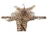 African Giraffe Skin, 8 1/2' across, 12' head-to-tail, plus a 20" brush on end of tail - 1 of 3