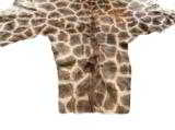 African Giraffe Skin, 8 1/2' across, 12' head-to-tail, plus a 20" brush on end of tail - 3 of 3