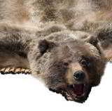 Alaskan Grizzly, on a double felt - 1 of 3