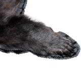 North Idaho black bear rug, double black felt - 2 of 3